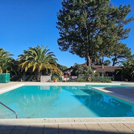 T2 Ciboure 4 Pers Avec Piscine Ideal Vacances Kültér fotó